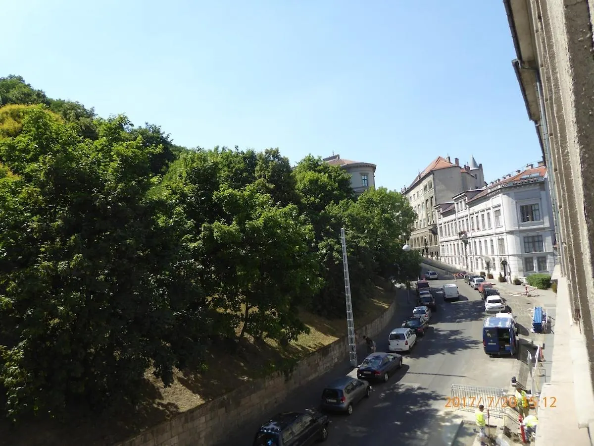公寓 Buda Castle -Shiny 3 Bedrooms 布达佩斯 匈牙利